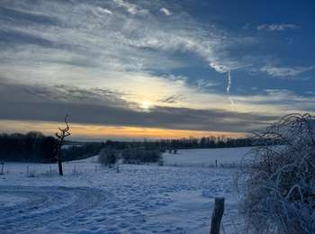 Trail Mountain bike Arlon - 7 - Photo