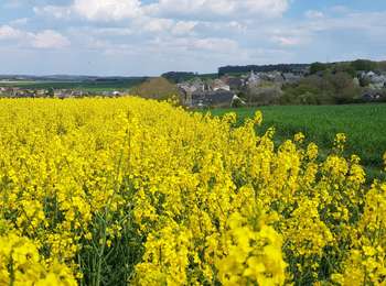 Trail Mountain bike Walcourt - Balade dans l'entité de Walcourt  - Photo