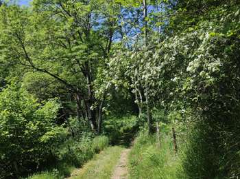Percorso Marcia  - Randonnée sur les plateaux au dessus du village de Moulins -Chérier - Photo