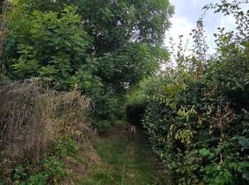 Trail Walking Beyne-Heusay - A la découverte de Beyne-Heusay 🐕 - Photo