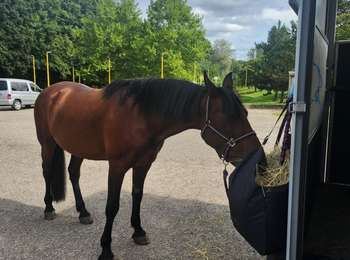 Tour Pferd Porzelet - Wikiloc - Porcelette - Grotte des russes - Photo