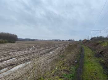 Trail Walking Brugelette - Brugelette , Chievre , Ladeuze, Tongre notre Dame , Chievre, Très, Brugelette - Photo