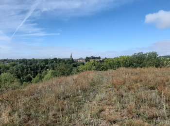Trail Walking Courcelles - Souvret - Photo