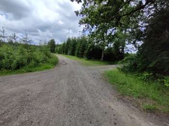 Trail Walking Ferrières - Du Bois de ville au Bois de Xhoris - Photo