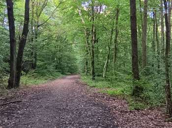 Trail Walking Liège - belle jardinière . ourthe . ruisseau nuance gravier . belle jardinière  - Photo