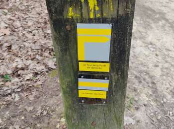 Randonnée Marche Viroflay - pr6 - Photo