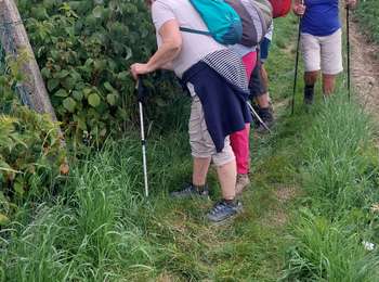 Trail Walking Binche - BUVRINNES  - Photo