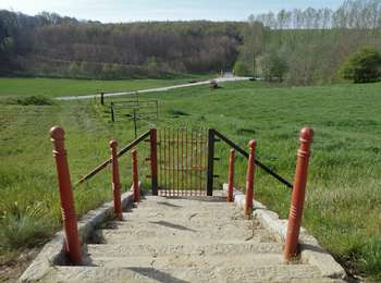 Tocht Te voet Chaumont-Gistoux - #200414 - Gistoux, Sentier de la Vallée, Champ du Poirier**** - Photo