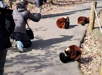 Percorso Marcia Ardes - parce aimalier - Photo