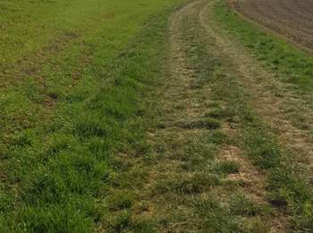 Trail Walking Tronchoy - ferme de l'herbu - Photo