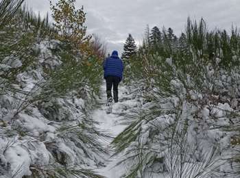 Trail Walking La Montagne - 23/11/24 - Photo