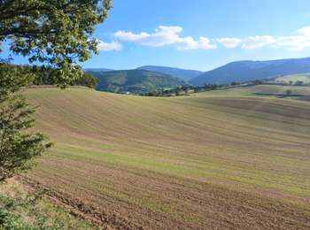 Tour Motorrad Saint-Génis-des-Fontaines - Perpignan Realmont  - Photo