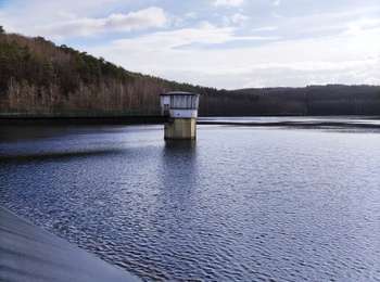 Percorso Marcia Couvin - Balade familiale autour du barrage du Ry de Rome - Photo