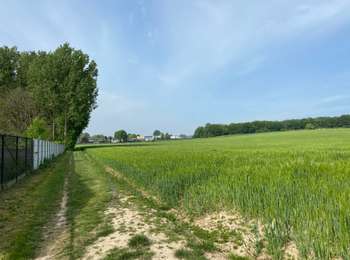 Excursión Senderismo Berchem-Sainte-Agathe - Sint-Agatha-Berchem - Berchem St Ulrike k 17 km - Photo