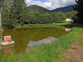 Trail Walking Servance-Miellin - 17-08-25 : reco entre Servance et Haut du them - Photo