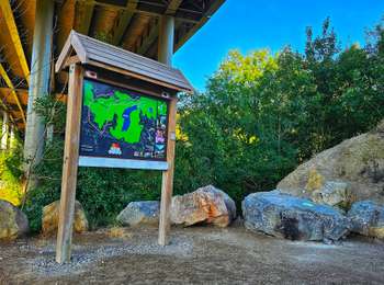 Trail Walking Charleroi - Balade dans la Réserve Naturelle du Brun Chêne  - Photo