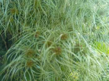 Trail Electric bike Jussy - Auxerre - Photo