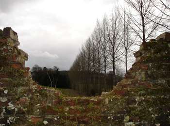 Tocht Stappen Graven - #180312 - Néthen et le sud-ouest de la forêt de Meerdael**** - Photo