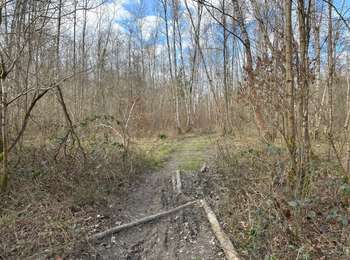 Trail Walking Bernissart - harchies 16,5 km - Photo