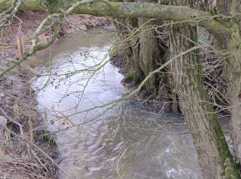 Trail Walking Silly - Promenade Piedescaus à Graty - Photo