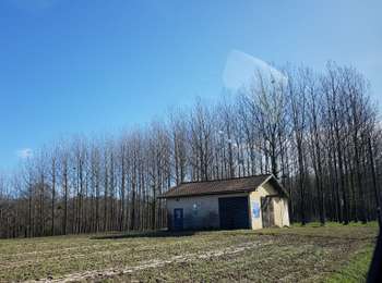 Trail Car Monein - atelier3 - Photo