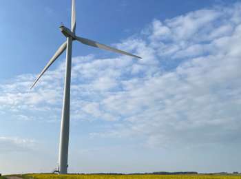 Trail Running Venoy - Running moulin de la coudre - Photo