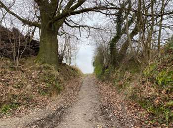 Tocht Stappen Tervuren - Duisburg 20,4 Km - Photo
