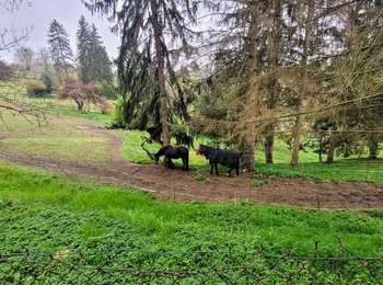 Tour Wandern L'Isle-Adam - Le tour du Grand Paris via le GR1 - ETAPE 6 de L'isle Adam à Viarmes - Photo
