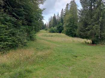 Trail Walking Saint-Pierre - à travers les pâtures... - Photo
