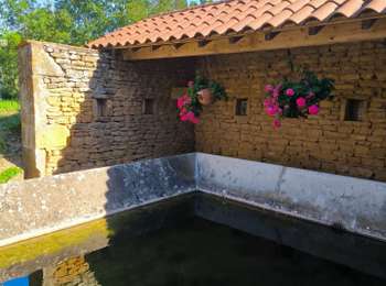 Percorso Marcia Porte des Pierres Dorées - 69 Jarnioux-Ville s/Jarnioux Rando 8,5 kms 2025_09 - Photo