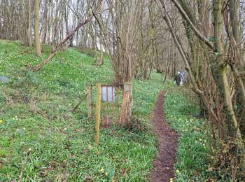 Trail Walking Braine-le-Comte - Ronquières_0323 - Photo