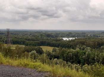 Trail Walking Péruwelz - Forêt de Bon-Secours et pays minier de l’Escaut - Photo