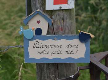 Trail Walking Aubel - 20220620 - Aubel 7.2 Km - Photo