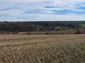 Trail Walking Braives - GR FALLAIS - FUMAL - Photo