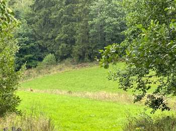 Percorso Marcia Amel - Herresbach  - Photo