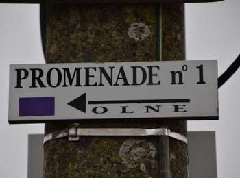 Trail Walking Olne - Les bocages du Rafhay: Olne - Saint Hadelin - Photo