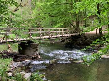 Tocht Stappen Daverdisse - Rando à Gembes (Daverdisse)  - Photo
