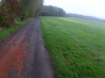 Trail Mountain bike Estinnes - VTT DES 3 ABBAYES - Photo