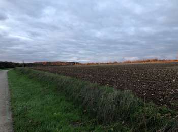 Trail Mountain bike Vesoul - VESOUL-Chemilly-VESOUL - Photo