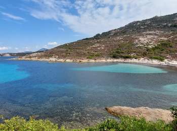 Trail Walking Calvi - Phare de Revellata - Photo