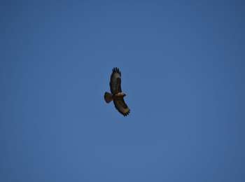 Trail Walking Verviers - 20210531 - Stembert 7.5 Km - Photo