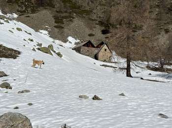 Tour Schneeschuhwandern Saint-Martin-Vésubie - Col du Clot Barrat - Photo