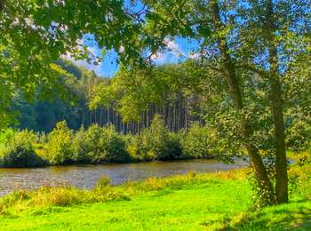 Trail Walking Bouillon - 2024-09-15_08h33m03_Les Hayons Bouillon - Photo