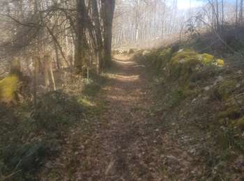 Trail Running Pont-de-Poitte - poitte beauregard mesnois pont de poitte poitte - Photo