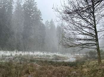Tocht Stappen Martelange - Heinstert - Photo