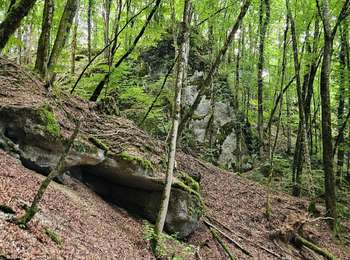 Trail Walking Les Planches-près-Arbois - cascade des tufs reculées des planches les belvédère la conque  - Photo