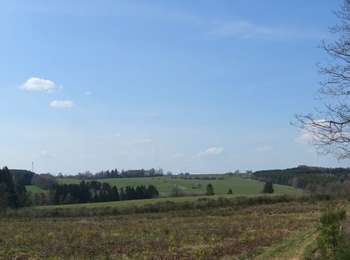 Percorso Marcia Léglise - Ebly - La Claire Fagne - Photo