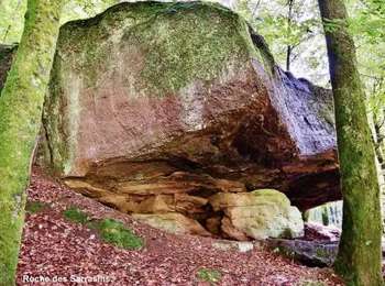 Trail Walking Frédéric-Fontaine - Frédéric-fontaine  Roche-des-Sarrasins - Photo