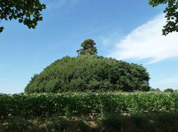 Percorso A piedi Incourt - Promenade du Tumulus - Photo