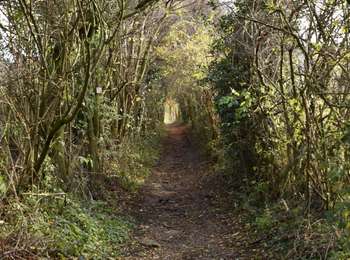 Trail Walking Aubel - 20201207 - Saint Jean Sart 6.3 Km - Photo